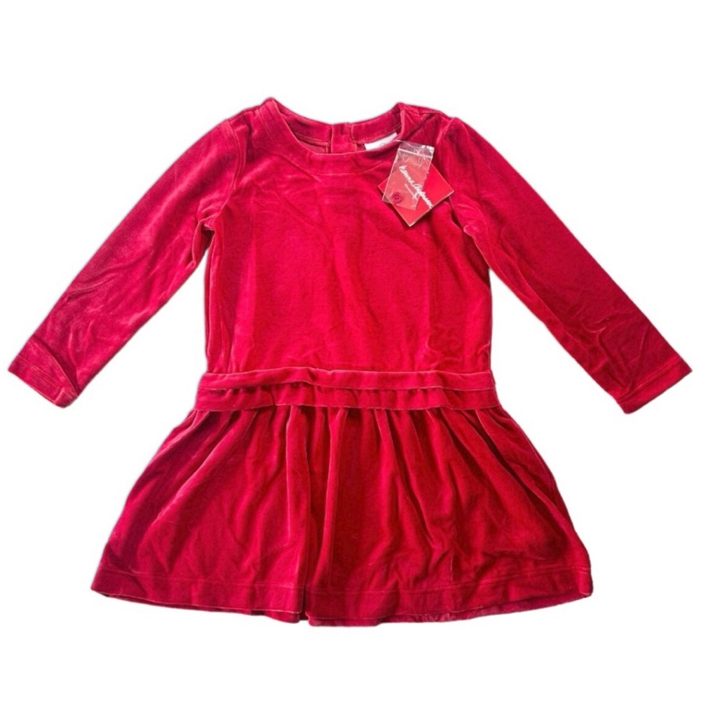 NWT Hanna Andersson Velour Dress